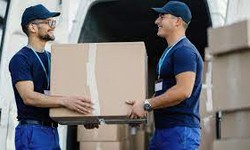 Navigating Logistics Excellence: Unveiling Swift Cargo Solutions – Premier Pallet Delivery Company in Derby