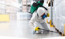 Effective Pest Control Services Melbourne: Keep Your Home Pest-Free
