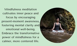 Cultivating Inner Harmony: The Synergy of Mindfulness Meditation, Nature, and Productive Mindset