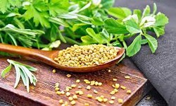Health Benefits Of Fenugreek For Relief Asthma