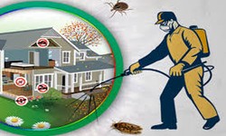 Revolutionizing Healthcare: The Role of Kreshco Pest Control in Promoting Public Health