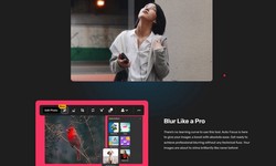 Take Control of Your Visuals: Auto Focus Editor Online with AI-Powered Tools
