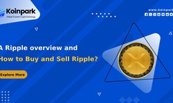 A Ripple overview and how to buy and sell Ripple?