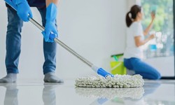 Sparkling Success Unveiling the Art of End of Tenancy Cleaning