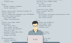 What Does a Web Developer Do