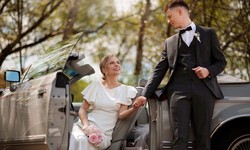 Rolling in Romance: Elevate Your Wedding with Transportation in Southwest Florida