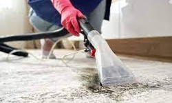 Elevate Your Living Environment: Top-notch Rug Cleaning in Larapinta