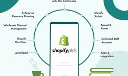 Unlocking Success with Shopify Plus: A Brief Overview by Black and Black