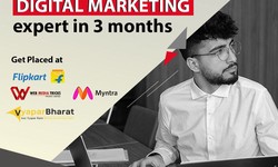 Why choose GREENBOX for Digital marketing Expert In Delhi?