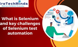 What is Selenium and key challenges of Selenium test automation