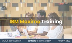 What are the different training formats available for IBM Maximo?