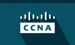 Get Ahead in Networking Down Under with Our CCNA Certification in Australia