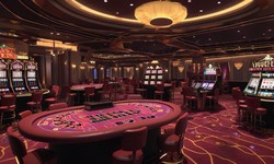 Play Like a Pro: Tips and Tricks for Winning at Live Casino India