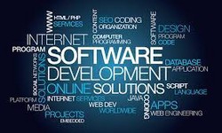 Cracking the Code: Software Development Wizardry at Technothinksup Solutions