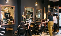 From Cuts to Colors: Unveiling Roseville's Premier Hair Salon Services