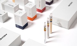 Unveiling the Art of CBD Vape Packaging: Elevate Your Experience