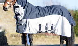 Keep Your Horse Cozy & Dry: Essential Guide to Lightweight Turnout Rugs with Neck