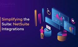 The Essential Guide to Becoming a NetSuite Developer