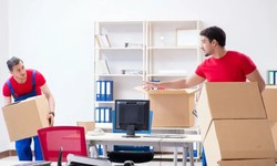 A Comprehensive Guide to Montreal Moving Services