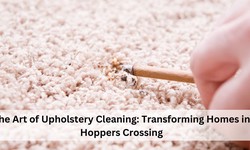The Art of Upholstery Cleaning: Transforming Homes in Hoppers Crossing