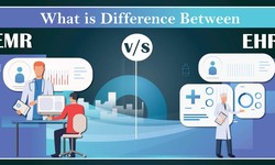What Is The Difference Between EMR Vs EHR