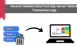 Recover Deleted Data From SQL Server Table By Transaction Logs - Quickly