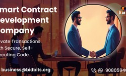 BidBits: Your Go-To Smart Contract Development Company