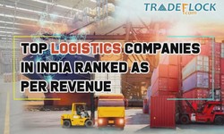 Navigating Growth: A Closer Look at India's Top Logistics Companies