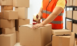 Understanding Charges for Courier Services from the UK to India