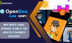 Why is White-Label OpenSea Clone the Greatest Business Solution?