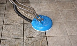 Burlington Bliss: A Comprehensive Guide to Tile and Grout Cleaning and Carpet Cleaning Services