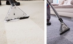 The Ultimate Guide to Carpet Cleaning in Burlington: Keeping Your Home with Fresh Maple Scent