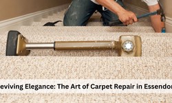 Reviving Elegance: The Art of Carpet Repair in Essendon