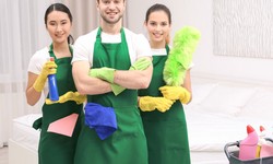 What Eco-Conscious Practices Do Top Home Cleaning Services Follow?