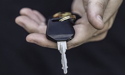 What to Do If You Lose Your Car Keys?