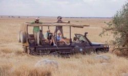Discovering the Magic of Serengeti National Park, Tanzania
