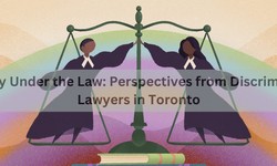 Equality Under the Law: Perspectives from Discrimination Lawyers in Toronto