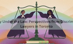 Equality Under the Law: Perspectives from Discrimination Lawyers in Toronto