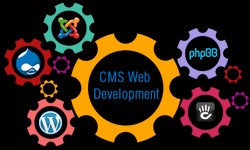 Empowering Online Presence: Website CMS Development Services the UK