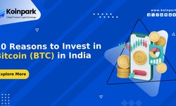 10 Reasons to Invest in Bitcoin (BTC) in India