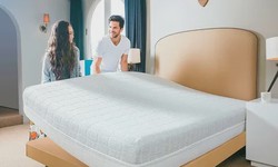 How Does a Professional Clean a Mattress?