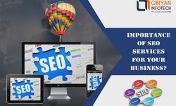 Unleashing Success: Elevate Your Business with Ecommerce Website SEO Packages