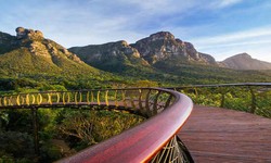 Best Places To Visit In Cape Town