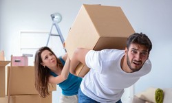Understanding the Things that Impact Packers and Movers Prices