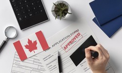 How to Easily Find and Verify Your Visa Status in Canada