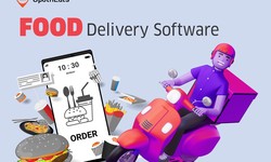 A profitable online food ordering and delivery restaurant's revenue models