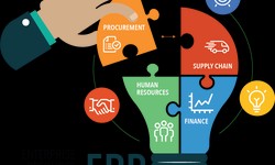 "Transforming Business Operations with Custom ERP Software Development"