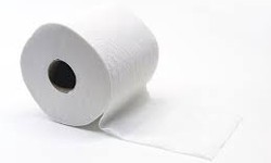 The Chronicles of Quirky Toilet Paper Tales"