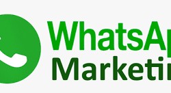 "Leveraging the Potential of WhatsApp Marketing with Technothinksup Solutions"
