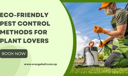 Eco-Friendly Pest Control Methods for Plant Lovers